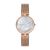 Đồng Hồ Skagen SKW2980 Cho Nữ Màu Vàng Hồng