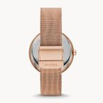 Đồng Hồ Skagen SKW2980 Cho Nữ Màu Vàng Hồng