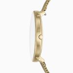 Đồng Hồ Nữ Skagen SKW2722 Màu Vàng Đồng Mặt Trắng