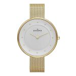Đồng Hồ Nữ Skagen SKW2141 Màu Vàng Mặt Trắng