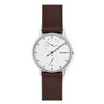 Đồng Hồ Skagen SKW6391 Cho Nam Màu Nâu Trắng