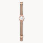 Đồng Hồ Skagen SKW2665 Cho Nữ Màu Vàng Hồng Mặt Bạc