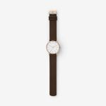 Đồng Hồ Skagen SKW6431 Cho Nam Màu Nâu Mặt Bạc