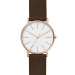 Đồng Hồ Skagen SKW6431 Cho Nam Màu Nâu Mặt Bạc