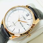 Đồng Hồ Nam Citizen Eco-Drive Collection AW0082-19A Phối Màu