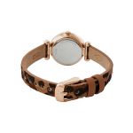 Đồng Hồ Nữ Fossil Tillie Mini Quartz Silver Dial Ladies Watch BQ3556