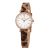 Đồng Hồ Nữ Fossil Tillie Mini Quartz Silver Dial Ladies Watch BQ3556