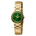 Đồng Hồ Nữ Ferre Milano FM1L132M0071