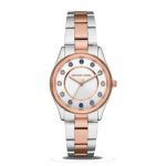 Đồng Hồ Michael Kors Colette Watch MK6605