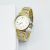 Đồng Hồ Nữ Versace Pop Chic Lady Two Tone Ladies Watch VEVD00519 36mm Màu Vàng