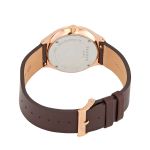 Đồng Hồ Nam Skagen SKW6458 Màu Nâu