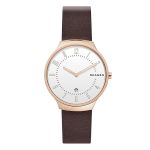 Đồng Hồ Nam Skagen SKW6458 Màu Nâu