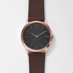 Đồng Hồ Nam Skagen SKW6330 Màu Nâu
