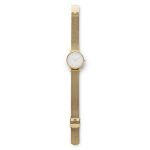 Đồng Hồ Skagen SKW2443 Màu Vàng Gold
