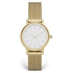 Đồng Hồ Skagen SKW2443 Màu Vàng Gold