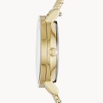 Đồng Hồ Skagen SKW2443 Màu Vàng Gold