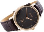 Đồng Hồ Citizen BE9173-07X Dành Cho Nam