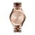 Đồng Hồ Cho Nữ Michael Kors MK4301