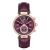 Đồng Hồ Nữ Michael Kors MK2580 Màu Đỏ Mận