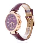 Đồng Hồ Nữ Michael Kors MK2580 Màu Đỏ Mận