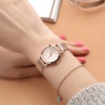 Đồng Hồ Nữ Julius JA-732 JU970 Màu Đồng