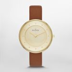 Đồng Hồ Skagen SKW2138 Cho Nữ