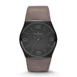 Đồng Hồ Skagen SKW6041 Cho Nam