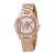 Đồng Hồ Michael Kors Mini Slim Runway Rose Dial Ladies Watch MK3549