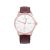 Đồng Hồ Nam Citizen Automatic NH8353-18A