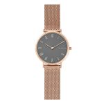 Đồng Hồ Skagen SKW2675 Cho Nữ Màu Vàng Hồng Mặt Xám