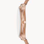 Đồng Hồ Skagen SKW3020 Cho Nữ Màu Vàng Hồng