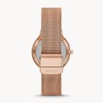 Đồng Hồ Skagen SKW3020 Cho Nữ Màu Vàng Hồng