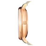 Đồng Hồ Swarovski Crystal Lake Watch 5415996 35mm Màu Xám Phối Vàng Hồng