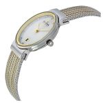 Đồng Hồ Nữ Skagen 355SSGS Màu Bạc