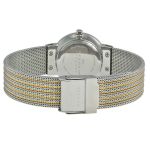 Đồng Hồ Nữ Skagen 355SSGS Màu Bạc