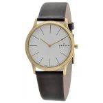 Đồng Hồ Nam Skagen 858XLGLD Màu Vàng Trắng