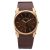 Đồng Hồ Nam Skagen 859LRLD Màu Nâu