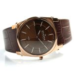 Đồng Hồ Nam Skagen 859LRLD Màu Nâu
