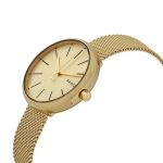 Đồng Hồ Nữ Skagen Watch Signatur SKW2614 Màu Vàng Gold