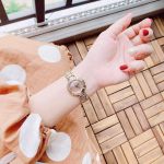Đồng hồ Citizen Eco drive EM0463-51Y