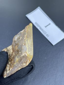 Mặt dây chuyền hổ phách MHP060422-01