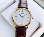 Đồng hồ CITIZEN AR1113-12A