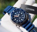 Đồng hồ CITIZEN Promaster Professional Diver BN0151-09L