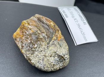 Mặt hổ phách thô MHPT160922-01