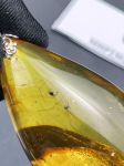 Mặt dây chuyền Hổ phách Nga ngậm côn trùng siêu đẹp MHP230225-06
