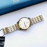Đồng Hồ Nam Citizen Automatic NH7504-52A Chính Hãng
