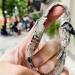 Đồng Hồ Agelocer Spirit 7072A9