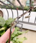 Đồng Hồ Nam Eterna  2525.53.11.1344 Chính Hãng