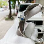 Đồng Hồ Carnival IW711G7
