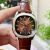 Đồng Hồ Carnival Nautilus G8113-BR